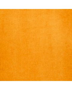 Liquitex Transparant Raw Sienna
