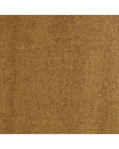 Liquitex Transparant Raw Umber