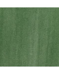 Liquitex Muted Green