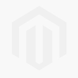 Warmachine Cygnar Hellslingers Command Cadre (pre-order JUN 2025)
