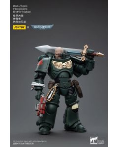 Intercessor Brother nadael Dark Angels Joytoy Warhammer